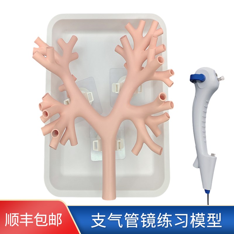 支气肺管镜训练模型纤维电子支气树管训M练模拟器介入四级练习