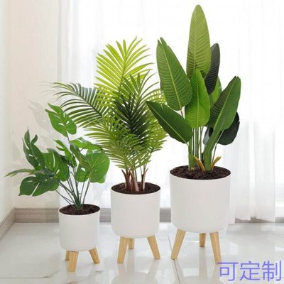 懒人自吸水花盆租摆客厅卧室室内圆形落地大花盆懒人花盆