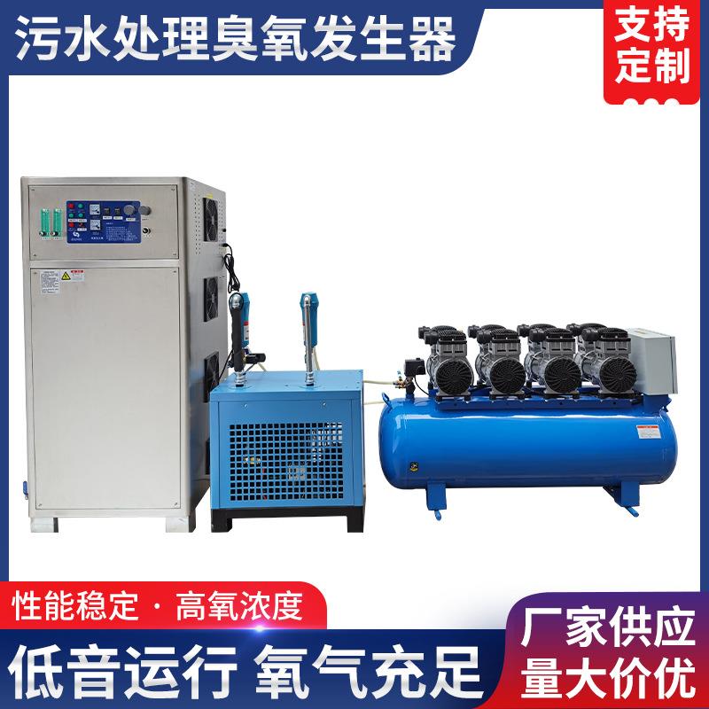 高浓度臭氧发生器泳池水污水处理臭氧发生器河道治理臭氧发生器