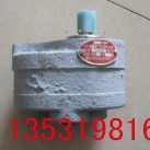 油泵 沈阳机床厂 CW6163车床油泵 反向齿轮泵
