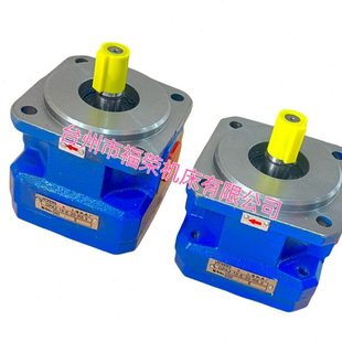 包邮 20R M1432B磨床M1332BGPA2 MQ1350齿轮油泵 外圆磨床油泵