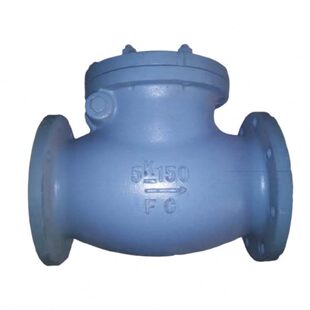 2日标JIS 旋启式 直通铸铁摇摆 止回阀 10K 船用F7373