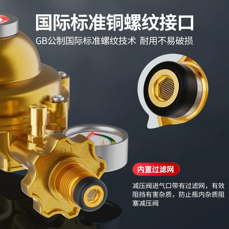 新国标家用1.2防爆液化气煤气罐减压阀低压阀燃气自闭阀煤气自锁