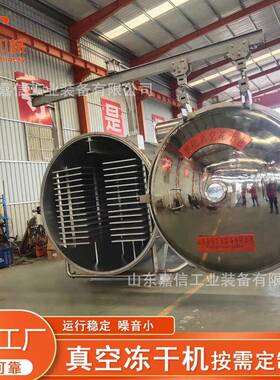牛肚真空冻干机苹果真空干燥机香蕉橘子大型真空冻干设备厂家生产