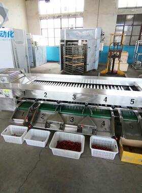 百香果选果机猕猴桃选果机荔枝苹果选果机沃柑选果机厂家