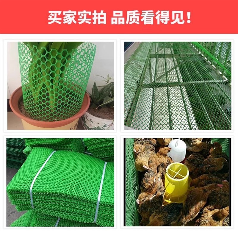 塑料围栏网格加厚绿色阳台防护栏鸡鸭鹅脚垫育雏网床养殖漏粪网