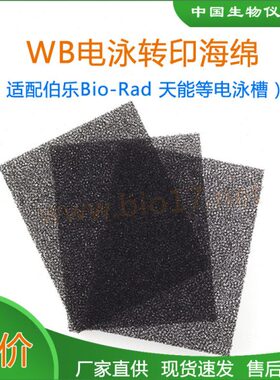 WB转印海绵垫转膜绵伯乐天能六一黑色白色海绵bio-rad1703933