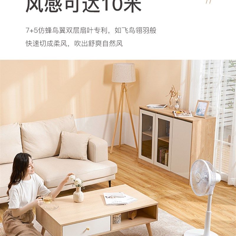 Bestherm百斯腾电风扇台式空气循环扇家用负离子遥控静音落地风扇