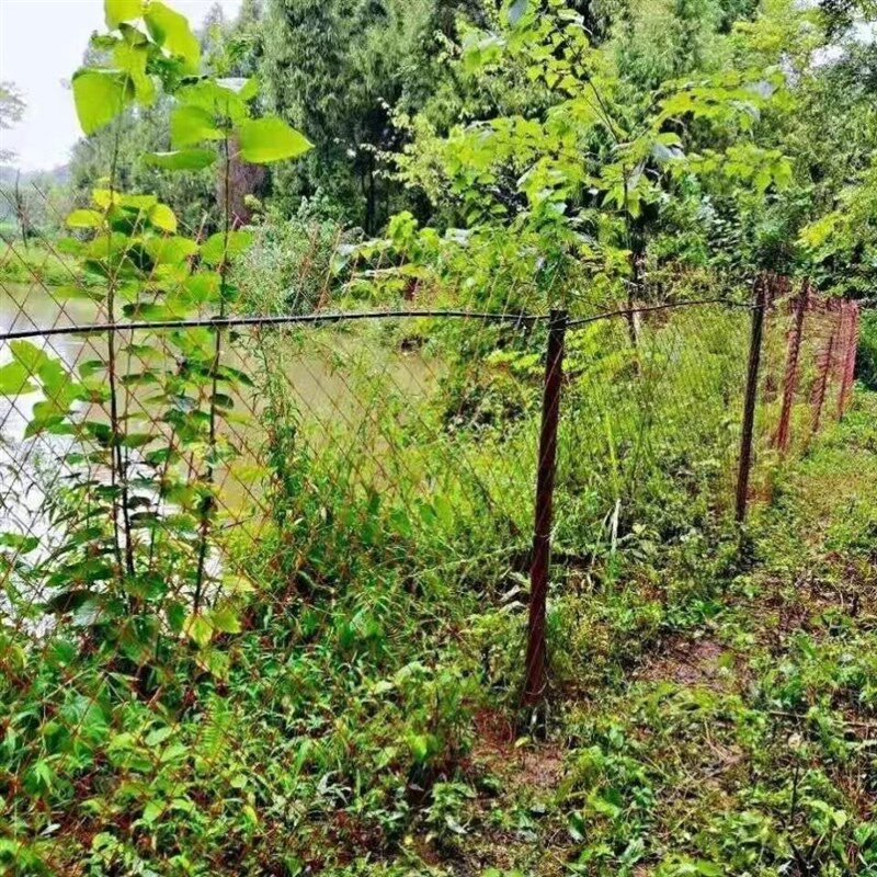 防锈菱形钢板网养殖防护网围山圈地果园防盗网鱼塘护菱形网格铁网