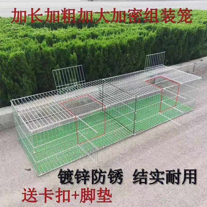 加粗加密,普通的鸽子笼兔子笼鸡笼鹌鹑笼家用镀锌铁丝组装养殖笼,宠物/宠物食品及用品,宠物鸡/鸭/鸽笼,淘宝优惠券,粉丝福利购,淘宝优惠卷