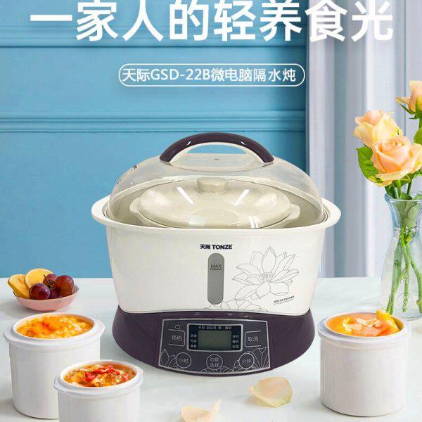 天际电炖炖锅煲汤锅全自动燕窝炖盅隔水炖家用宝宝锅bb煲煮粥神器