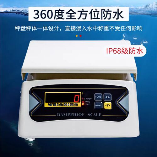 厦门佰伦斯防水计重秤BWS-616AR全密封防水双面电子称工业秤