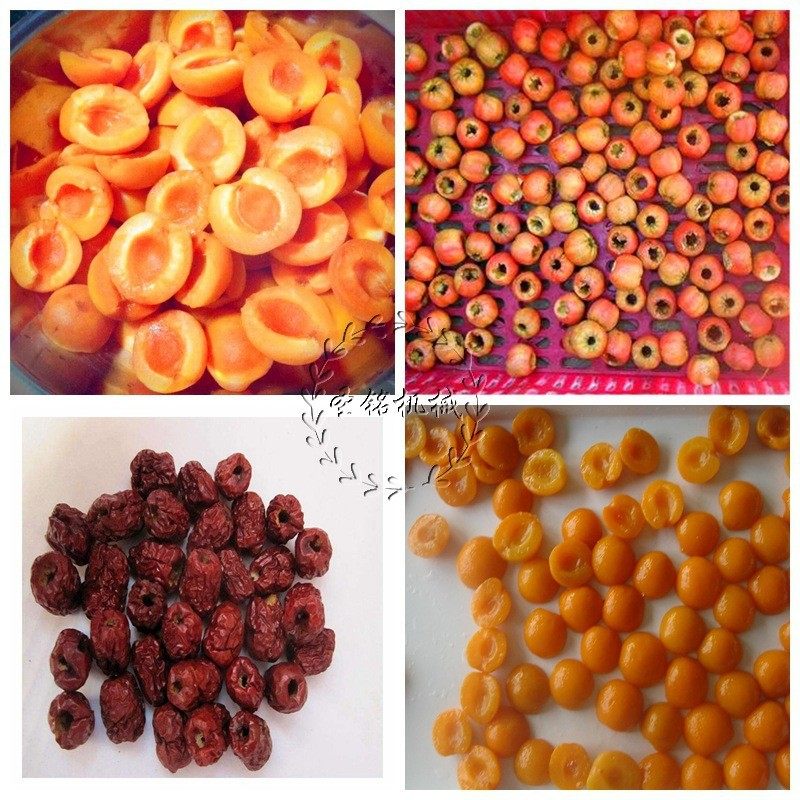 半自动水果去核分半机 人工摆盘山楂去核机 苹果梨桃子去芯切瓣机,清洗/食品/商业设备,果蔬加工设备,淘宝优惠券,粉丝福利购,淘宝优惠卷