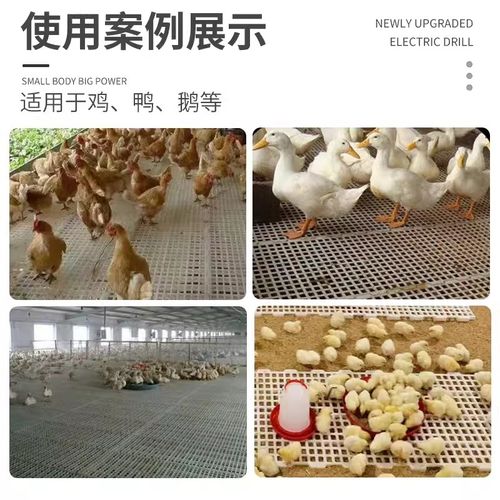 养鸡用鸡粪漏粪板鸡笼漏粪网养殖鸡鸭鹅脚垫鸡舍小鸡塑料漏屎地板