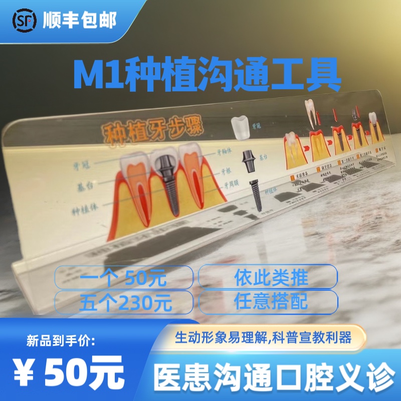种植牙根管RCT龋齿牙周发展定制模型办公医患沟通牙科沟通工具