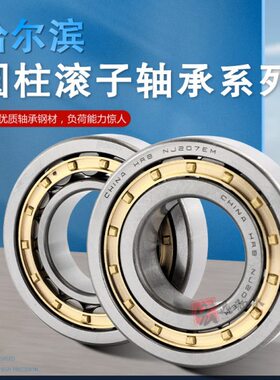 HRB哈尔滨双列圆柱滚子轴承NN 3005  3006 3007 3008 K/P5/P4 W33