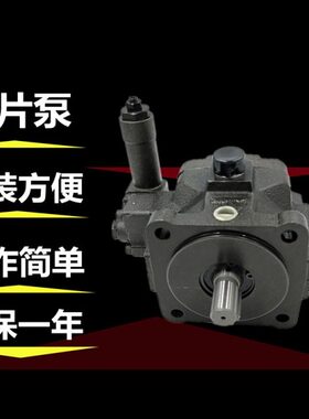 供应VDC-1B/2B/3B-1A2/3/4/5/2A2-20叶片泵 液压油泵