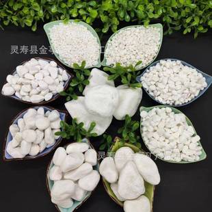 现货供应水洗石枯山水白石子白色鹅卵石胶黏石机制白色卵石洗米石