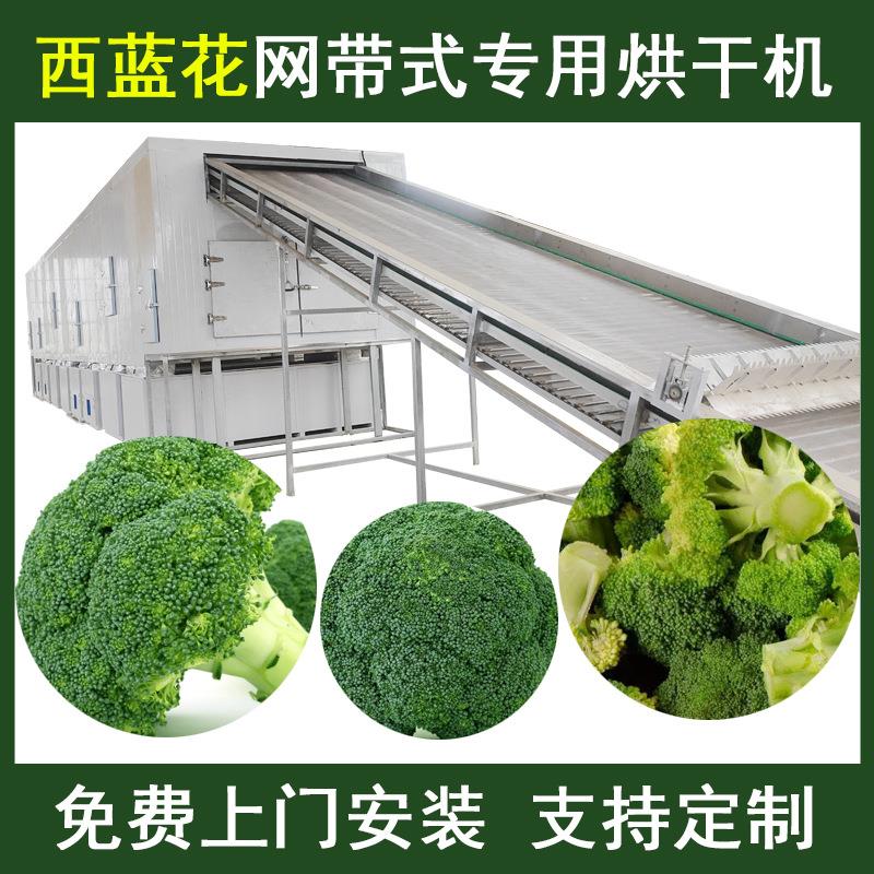 西兰花烘干机空气能热泵花菜花椰菜烘干机大型菜花脱水干燥设备