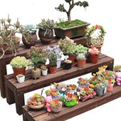 家用木质实木移动防腐木踏步台阶凳子庭院木头户外室外碳化木脚踏