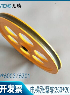 电梯涨紧装置限速器250*20*6201240底坑 电梯配件