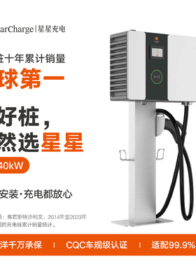 星星充电40kW九孔直流快充家用运营商用充电桩蔚来极越新能源汽车