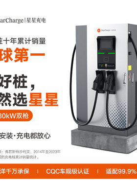 星星充电80kW直流一体充电桩新能源汽车电车快充充电桩器商用运营