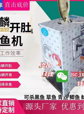 杀鱼机器全自动立式开肚开背去鳞一体机剖鱼宰鱼机开背机专利款