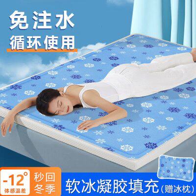 周丝缘水床垫夏季凝胶冰垫单双人学生宿舍避暑神器沙发宠物冰垫免