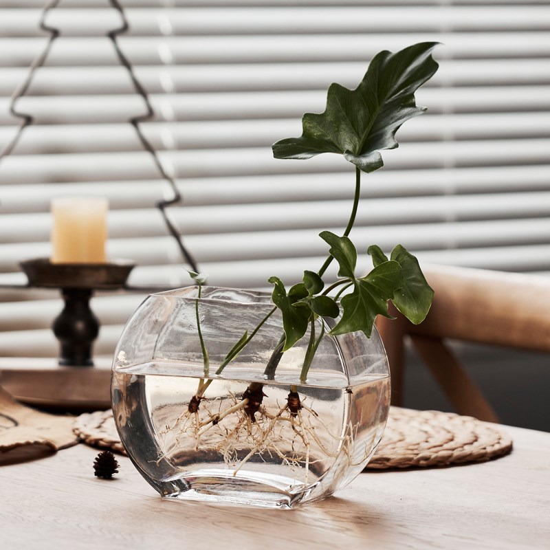 大号创意简约植物水培玻璃器皿透明花瓶J办公室圆形生态小鱼缸摆