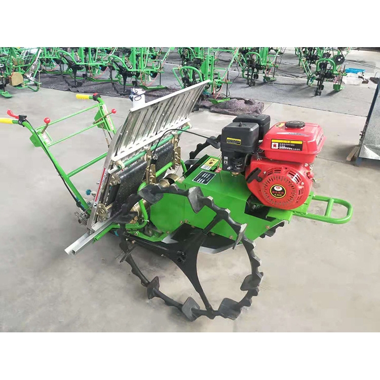 单行双行水稻苗插秧机重庆耀虎动力手推式插苗机柱距可调插秧均匀