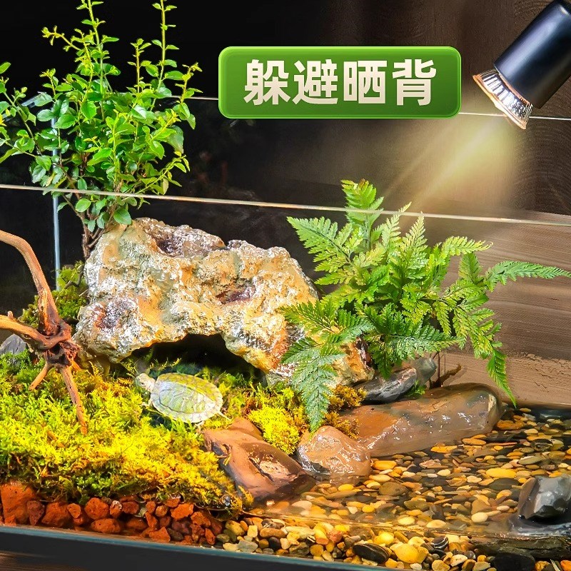 超白玻璃缸e乌龟缸乌龟饲养缸水陆双栖生态干分离底部排水龟植共