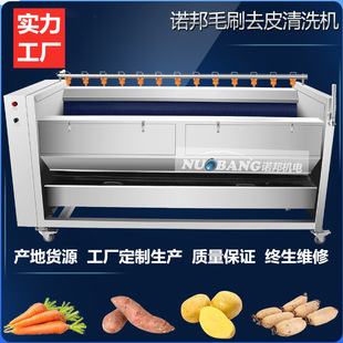 厂家供应魔芋洗泥机 商用芋头清洗脱皮设备 全自动马铃薯去皮机