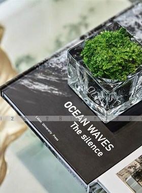 空合 轻奢装g饰画金属蜥蜴苔藓绿植样板间书房床头柜摆件