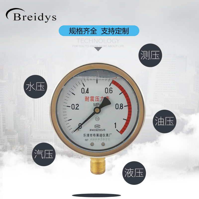 压力表Y100正装不锈钢耐震压力表测水压气压通用0-P1.6/100mpa