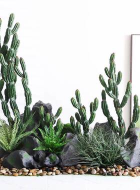 室内场景橱窗装饰摆件大型植物北欧仙人柱假绿植武伦柱仿真仙人掌