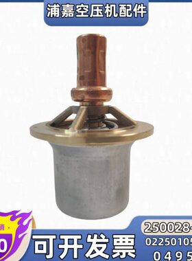现货寿力空压机温控阀芯02250105-553热控阀恒温阀250028-762配件