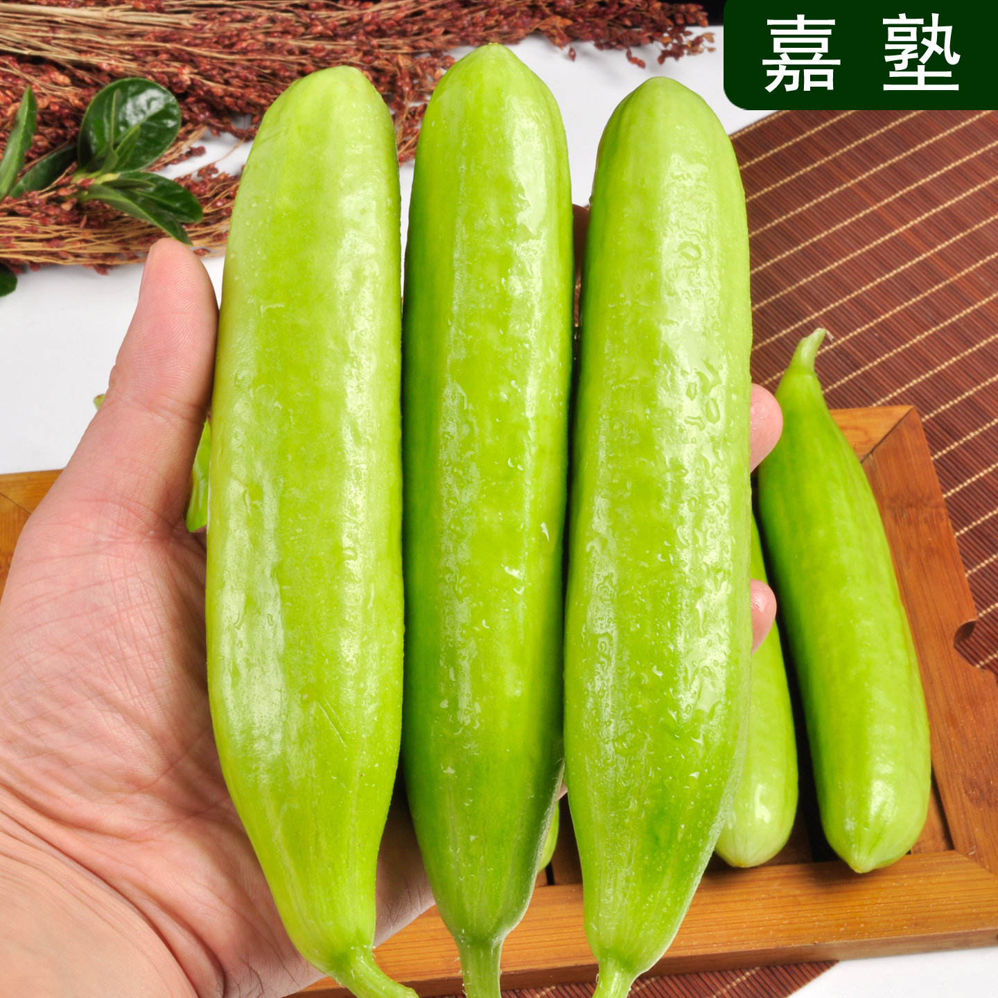山东新鲜奶油水果黄瓜脆嫩爽口亦果亦疏生吃小黄瓜山东蔬菜