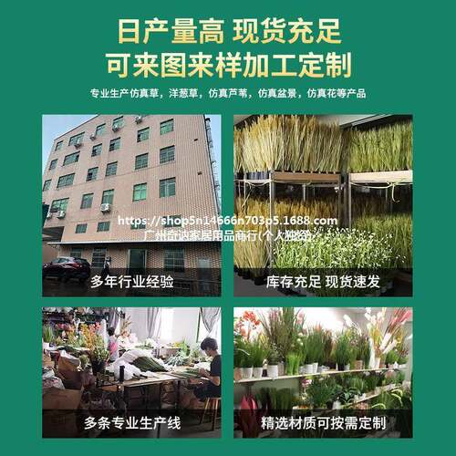 仿真植物仿真绿植仿真芦苇洋葱草仿真草工厂现货三头芦苇人造植物