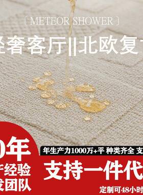 硅藻丝简约家用奶油风防水防污地毯客厅沙发卧室隔音耐脏易打理