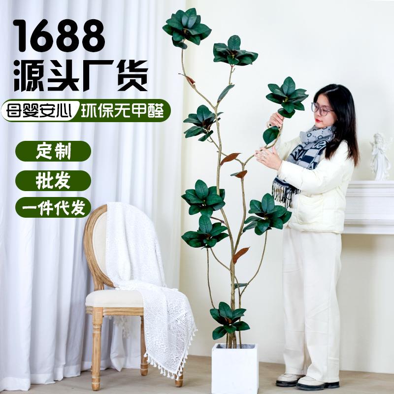 家居装饰仿真玉兰树盆栽仿真绿落地摆件玉兰叶客厅摆件植物仿真花