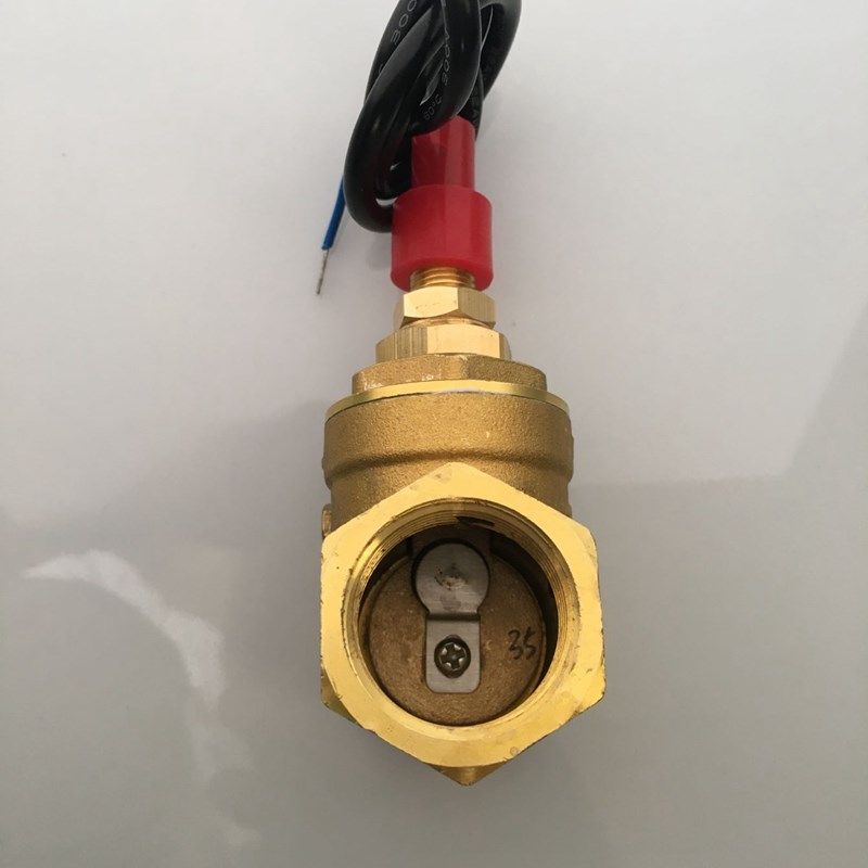DN25 1寸水流信号流量开关感应传感器带止回阀功能挡板开关