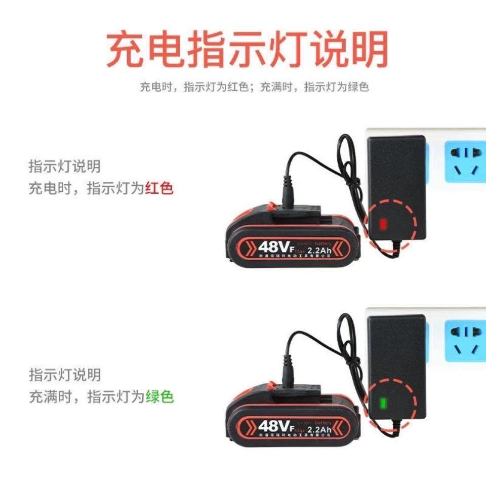 无线洗车机高压水枪充电器21V24V25V48V168V998VF锂电池充电器线