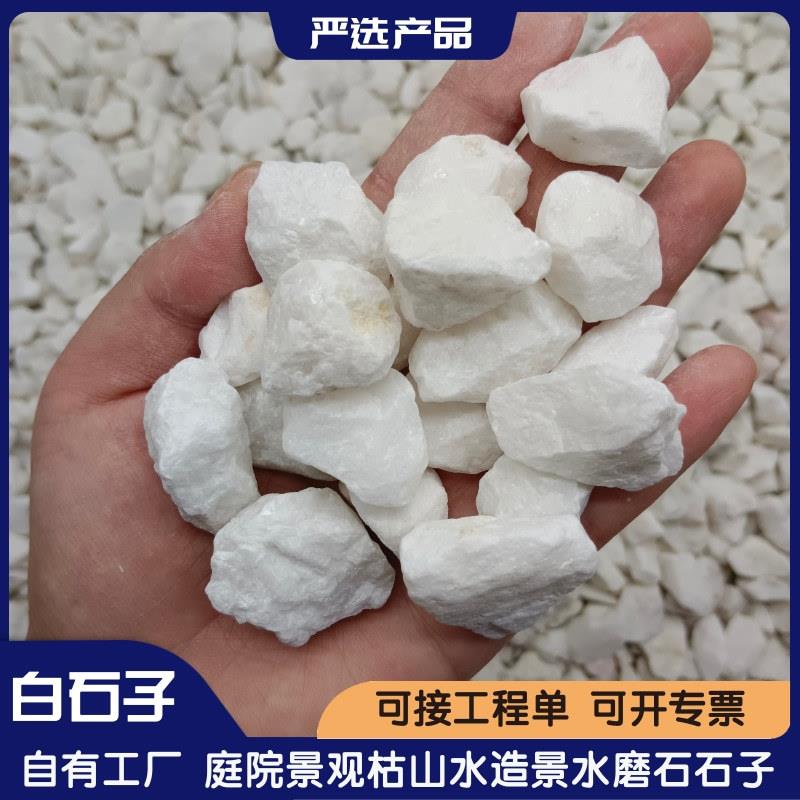白色石子白碎石日式枯山水造景机制水磨石用白色水洗石白色砾石