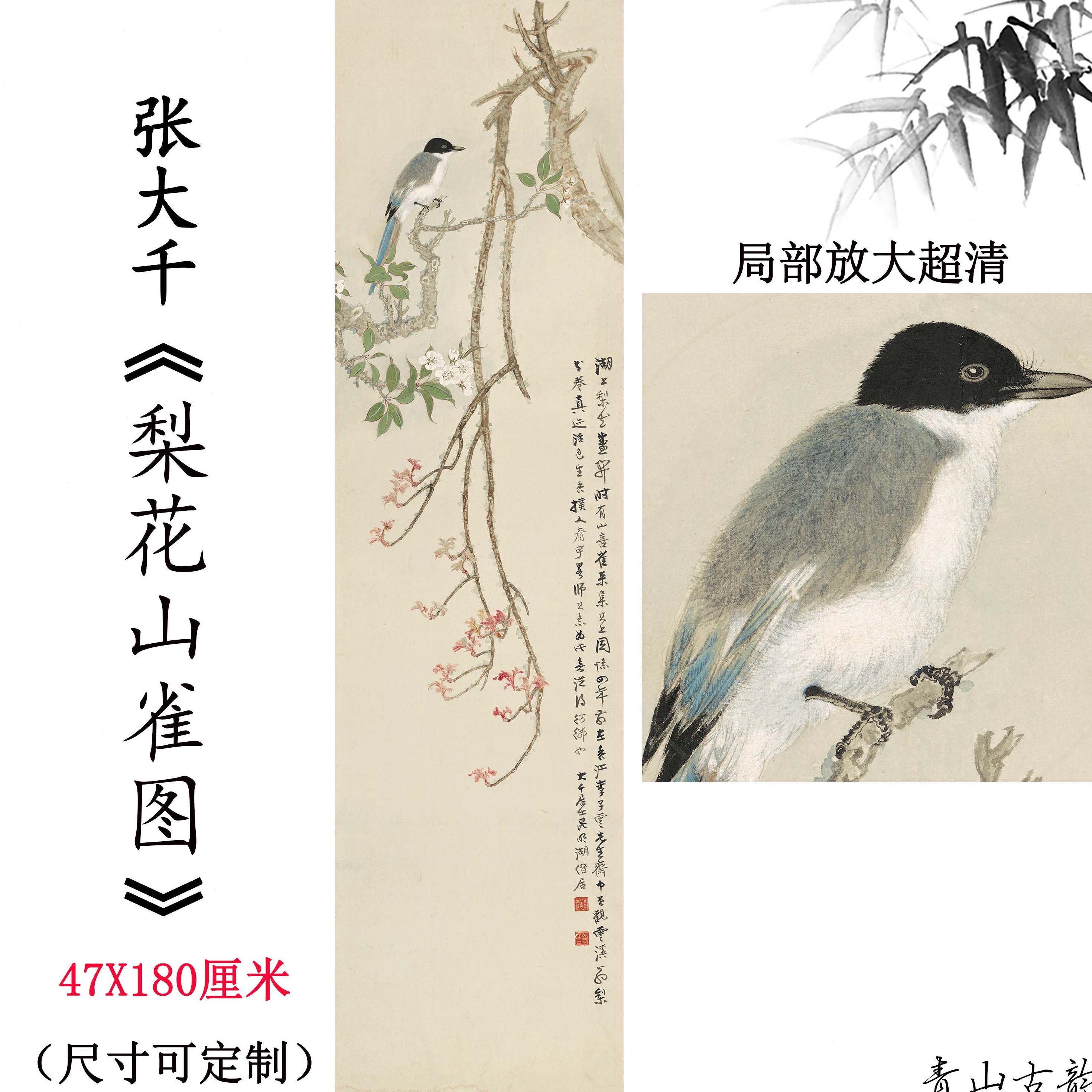 1:1张大千 梨花山雀图工笔花鸟国画禅意简约中国风装饰画临摹素材