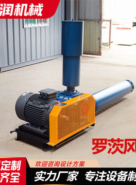 HSR175型15KW罗茨鼓风机水产养殖大风量增氧泵高压气泵送风