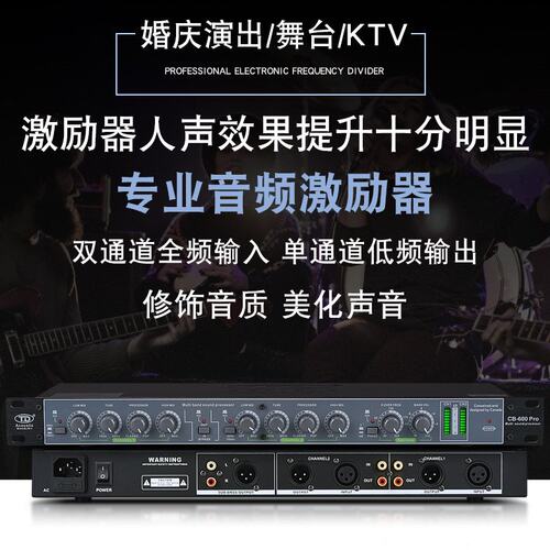 TD专业人声效果器带独立低频输出处理器 舞台演出KTV音频激励器