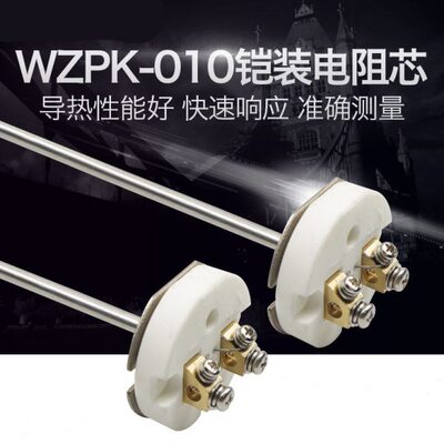 WZPK-010铠装热电阻芯Pt100/K型热电偶WZPK2双支4线/6线高温抗震