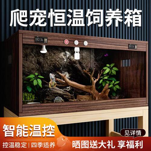 爬虫饲养箱蜥蜴陆地龟蛇恒温箱睫角守宫保温箱宠物爬箱大型饲养盒