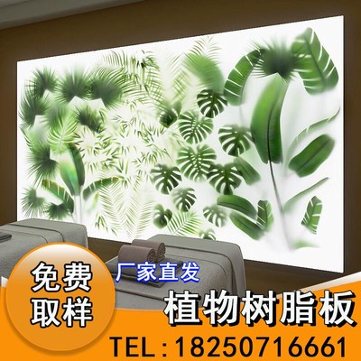 云丝板植物竹影透光冰裂板琥珀板蚕丝板I冰雾板门头隔断竹编树脂